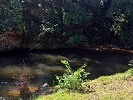 Petrovac na Mlavi, MANASTIR GORNJAK, ĐURĐEVDAN, KRSNA SLAVA