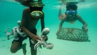 Pola života provedu pod vodom, a mogu da zadrže dah 13 minuta: Upoznajte "ljude-ribe" iz Indonezije