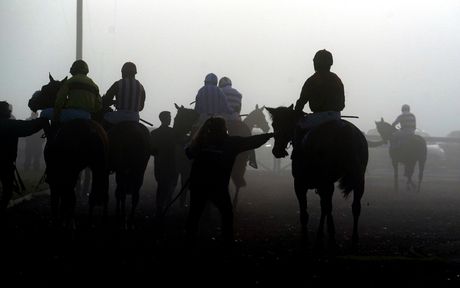 Trka konji magla