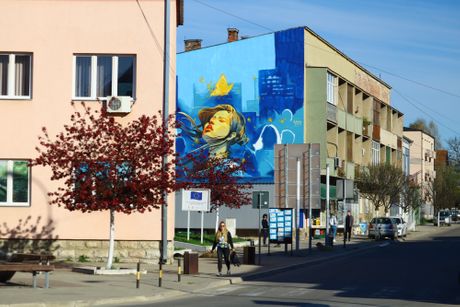 Babušnica mesto