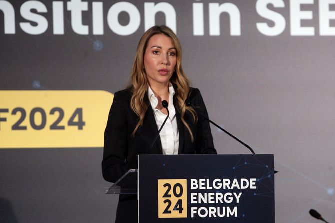 Dubravka Đedović Handanović, Beogradski energetski forum