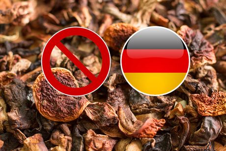 suve sušene pečurke, nemacka zabrana