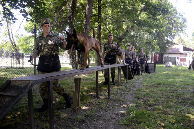 OBUKA I DRESURA PASA ZA PRONALAŽENJE EKSPLOZIVA