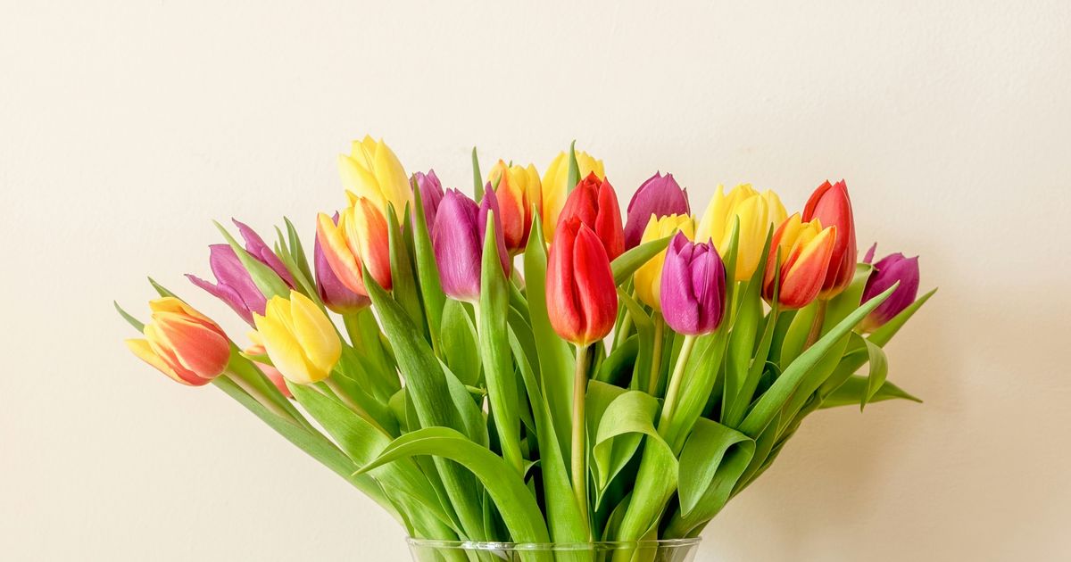 3-Second Trick That Straightens Tulips: Many Get It Wrong, and the Trick Is in This Move