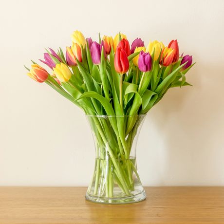 lale, tulipani, cveće, zodijak