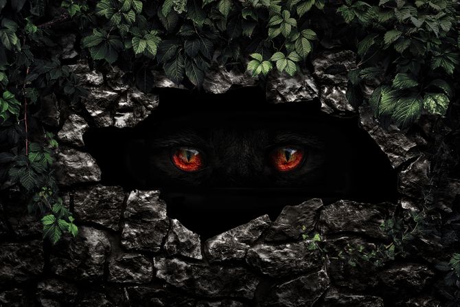 Čudovište, oči Čudovište, oči