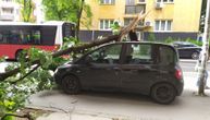 Pogledajte kakav je haos vetar napravio u Marijane Gregoran: Ogromna grana oštetila automobil