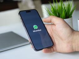 WhatsApp aplikacija, WhatsApp logo