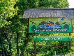 Carska bara, Srbija
