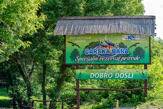 Carska bara, Srbija