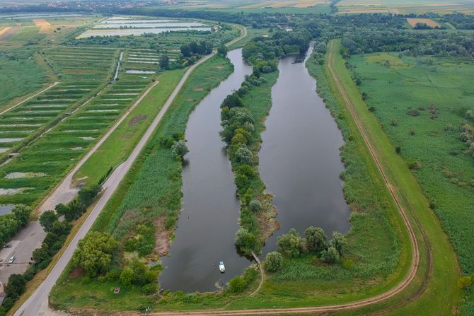 Carska bara, Srbija