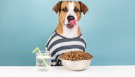 Istraživači tvrdili da je veganska hrana najzdravija za pse, naučnici dokazali da je zaključak pogrešan