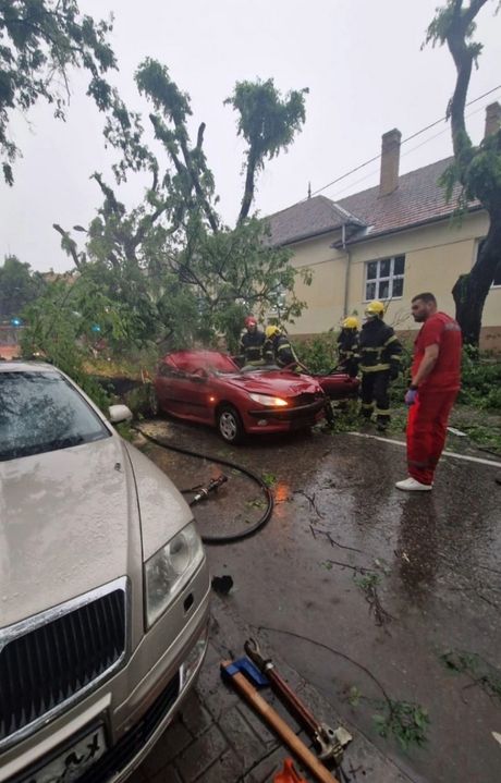 Sombor oluja nevreme nesreća drvo palo na automobil
