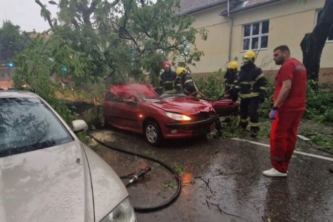 Sombor oluja nevreme nesreća drvo palo na automobil