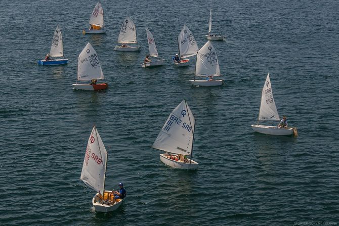 Memorijalna regata Zoran Radosavljevic Memorijalna regata Zoran Radosavljevic