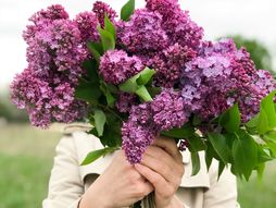 cveće, buket, zodijak,astrologija, horoskop