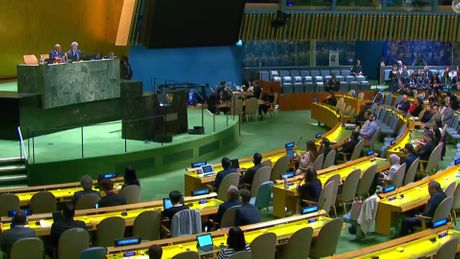 Sednica o rezoluciji o Srebrenici u UN