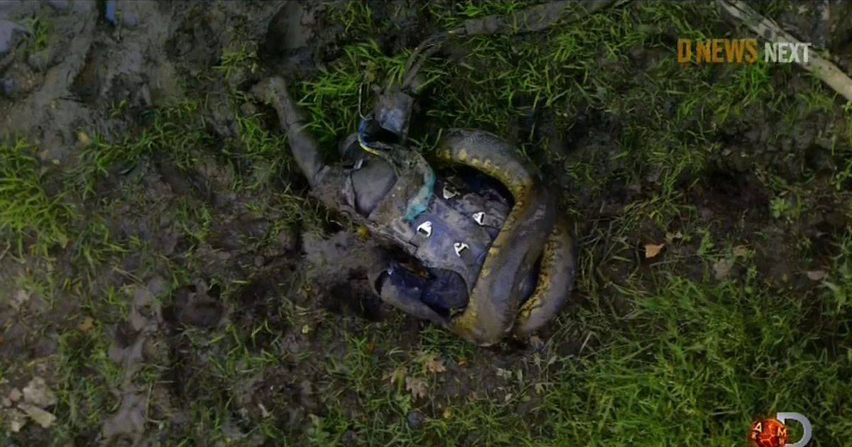 Obukao specijalno odelo i dozvolio anakondi da ga proguta: Gde je danas čovek sa dramatičnog snimka?