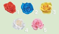 Test ličnosti: Odaberite ružu i saznajte da li tragate za pravom osobom, težite liderstvu ili ste povučeni