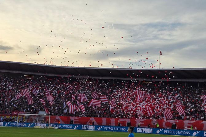 Delije Sever, Crvena zvezda Delije Sever, Crvena zvezda