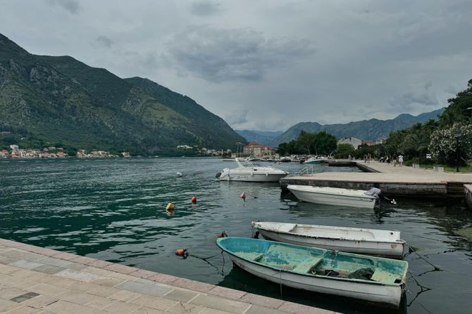 Kotor