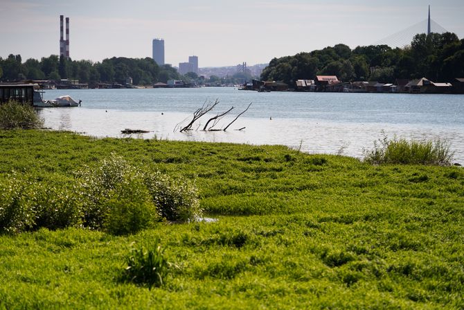 Reka Sava, čišćenje