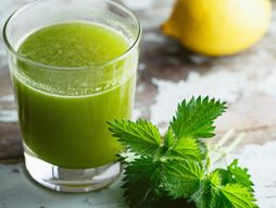 kopriva, sok od koprive, napitak