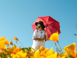 devojka, kišobran, cveće, zodijak, astrologija