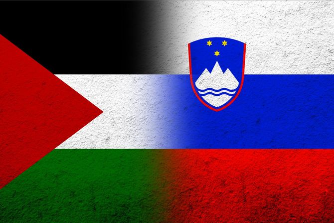 Palestina Slovenija zastave