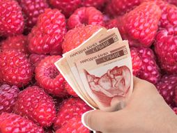 Maline novac dinari