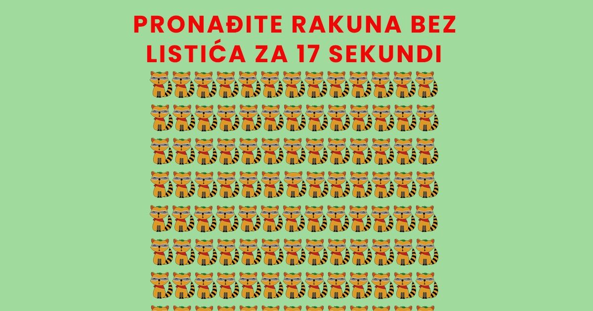 Pronađite rakuna bez listića na glavi: Da li možete da oborite rekord ...