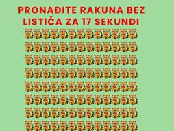 Skivalica test optička iluzija rakun