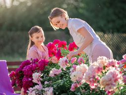 božuri, cveće, mama i ćerka, bašta, cveće u bašti, nega cveća