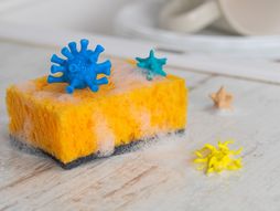 sunđer, menjanje sunđera, kuhinjski sunđer, sunđer i bakterije