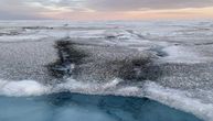 Gigantski virusi pronađeni na grenlandskoj ledenoj ploči – mogući mehanizam kontrole topljenja leda