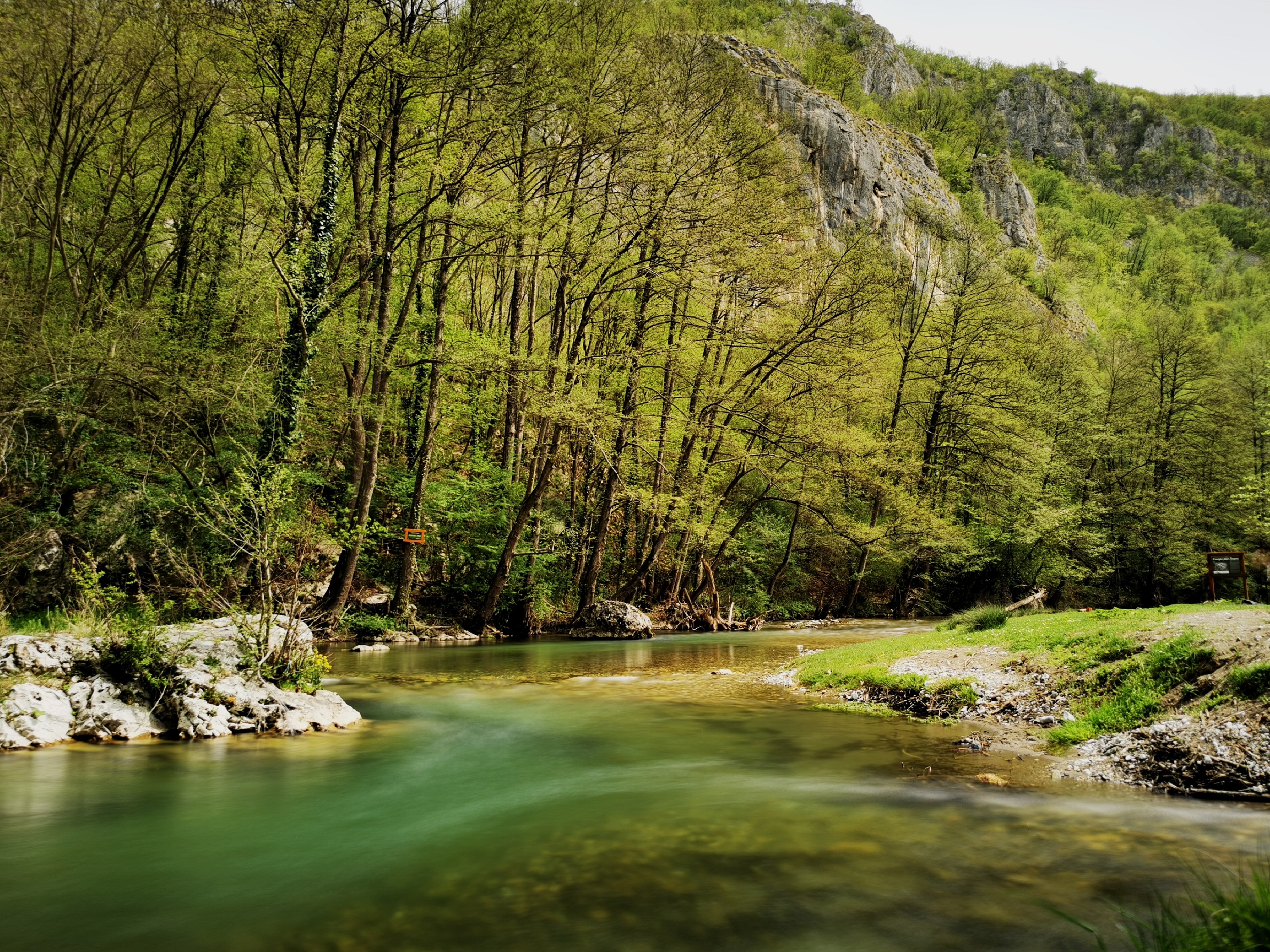 Nesvakidašnja životinja snimljena u blizini reke Gradac: Kamera zabeležila prelepu fotografiju