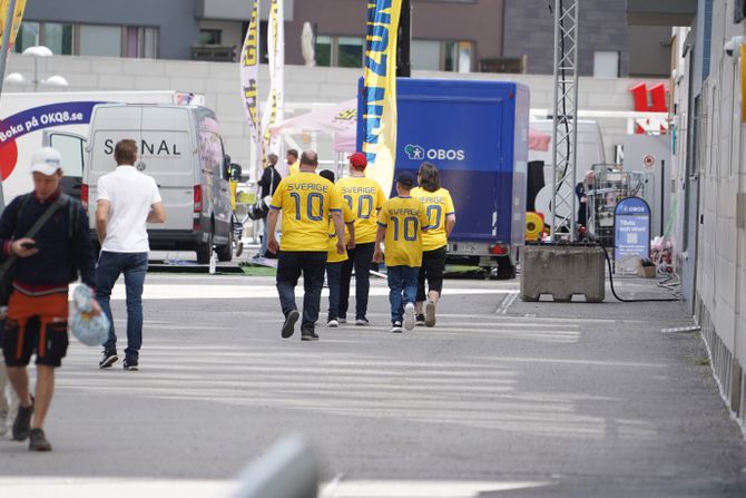 Navijači Švedske i Srbije, friends arena