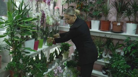 Spašava brakove i muževe Sabina Čačak cvećara cvetomat