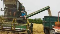 Na Produktnoj berzi skočio promet: Stočni ječam prednjači u trgovini