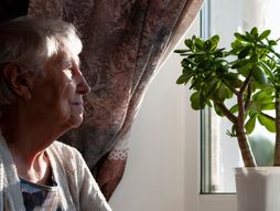 starija žena, baka, tužna baka