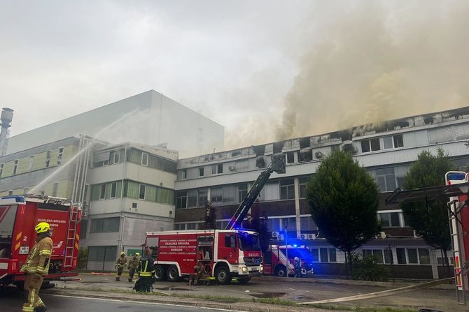 Fabrika Paloma, požar