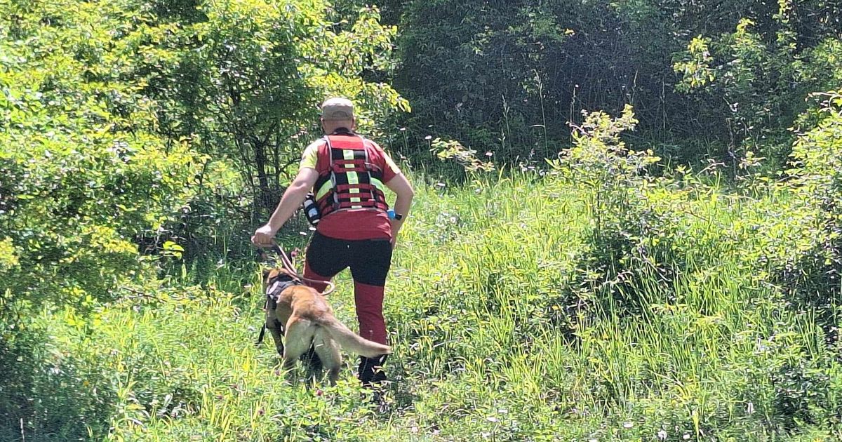 Važna vest za dobrovoljce u traganju za nestalim ljudima i spasavanju: OTIS traži nove članove, ovo su uslovi