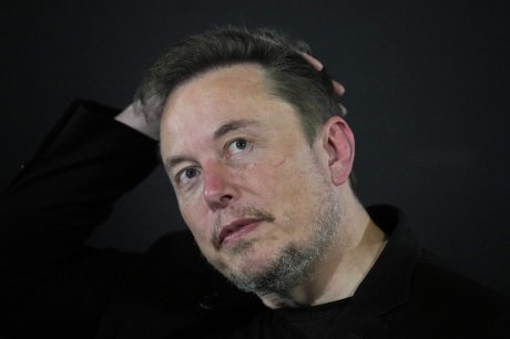 Ilon Mask, Elon Musk