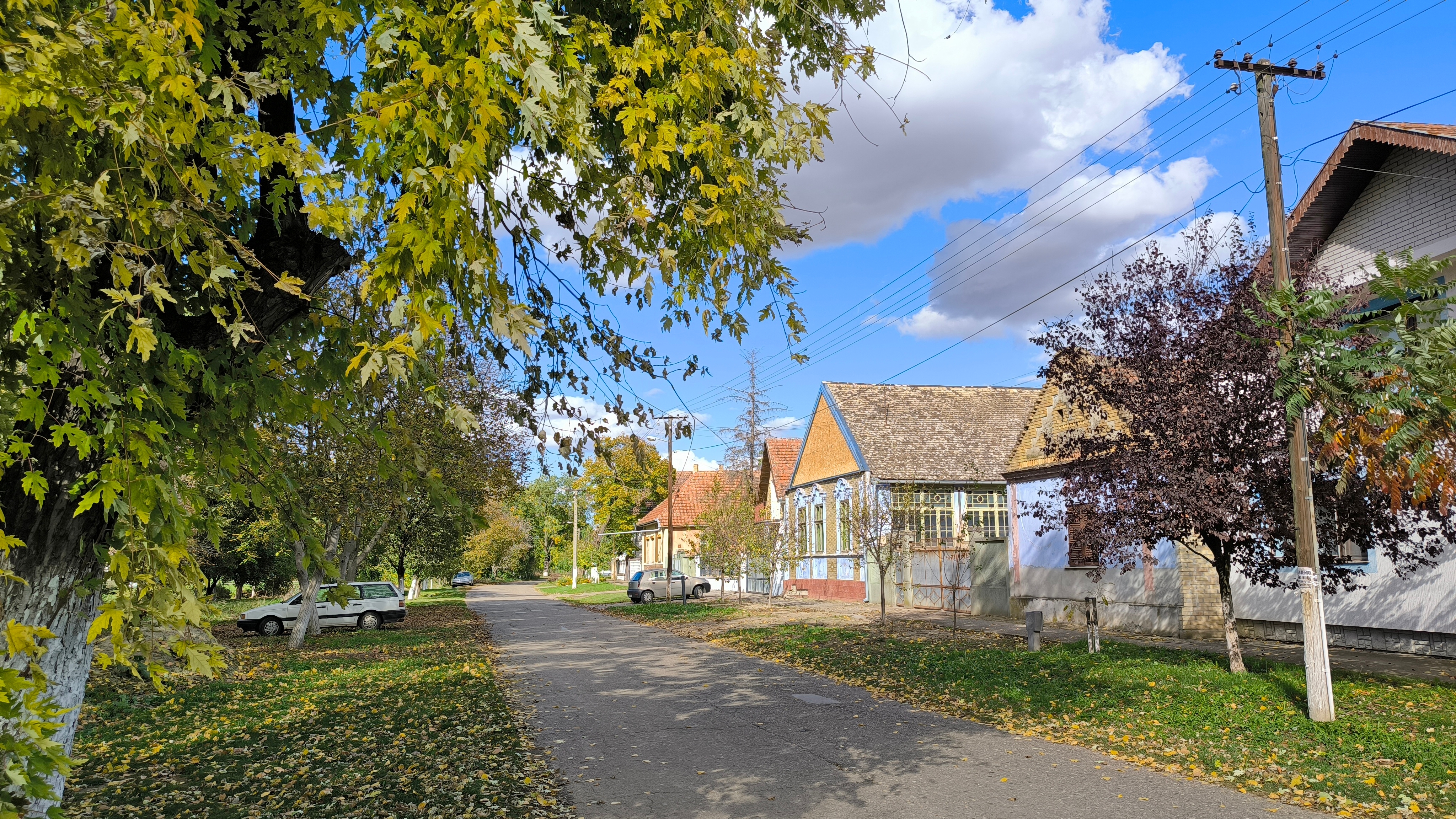 Tradicija duga 70 godina i ove godine oživela vojvođansko selo: Najmlađi se posebno radovali, svi se okupili