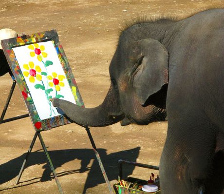 Slon slikar