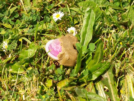 Kolačići za lisice, punjeni vakcinom protiv besnila