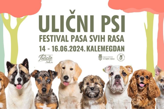 Ulični psi festival