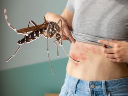 Novi virus koji prenosi komarac