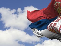 Zastava Srbije, Srpska zastava