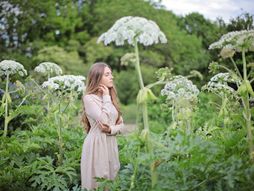 Gigantski svinjski korov